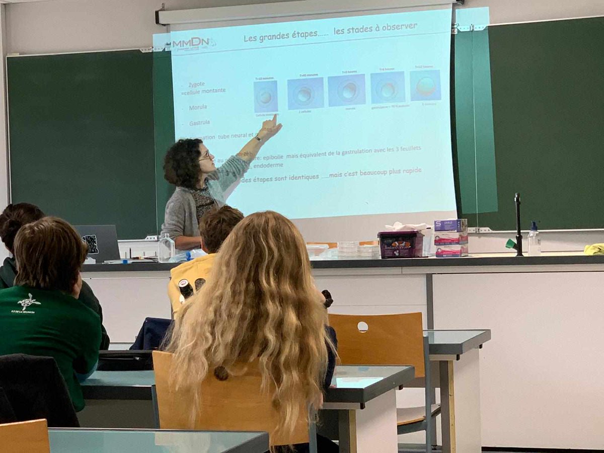 Genopolys tweet media