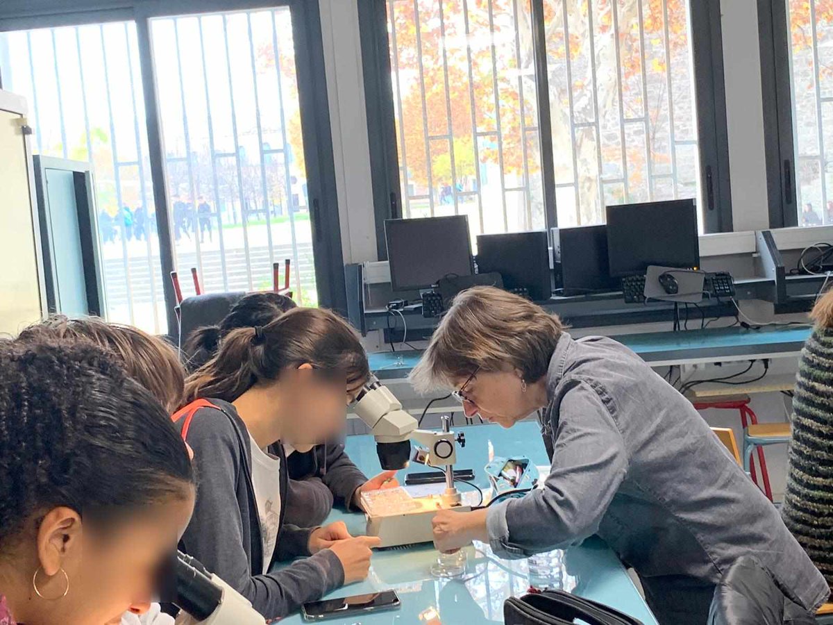 Genopolys tweet media