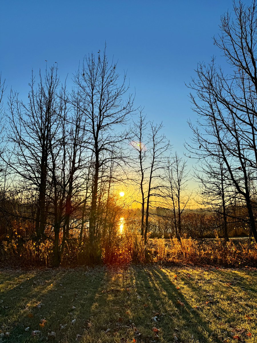 MichelleKisil's tweet photo. Start of a gorgeous day!
#GetOutside #ocsbWellness #LowLyingFog #Sunrise #Reflection #Goals https://t.co/ptOTLCRWyR