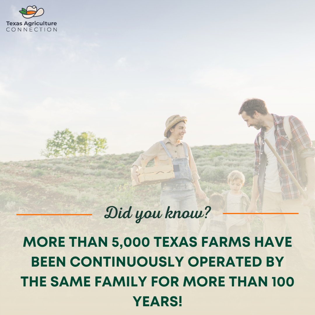 Texas Agriculture Connection tweet media