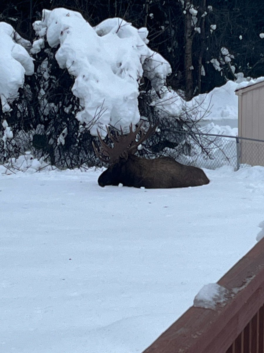 Brandon R. Briggs tweet media