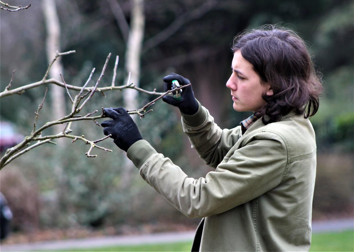 GreenFGeorge's tweet image. Community gardening projects have seen me right over the years, that’s why I’m happy to share Nature Hub’s new pot of funding dosh to help groups relax and connect with nature through shared green spaces. 
Up to £6k going, have a mooch here 👉
tinyurl.com/mu5fw2n 
@hubbubUK