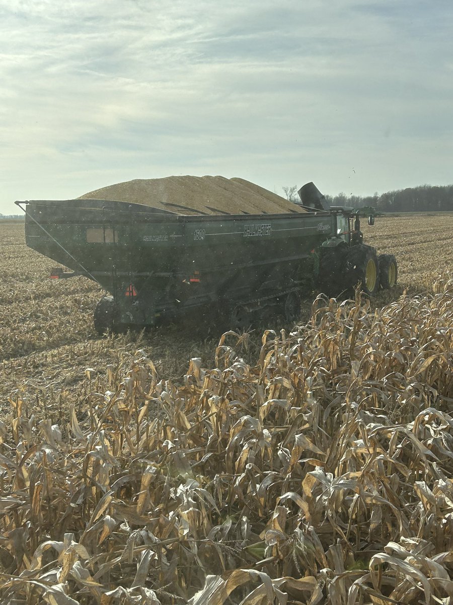 Karl Armstrong tweet media