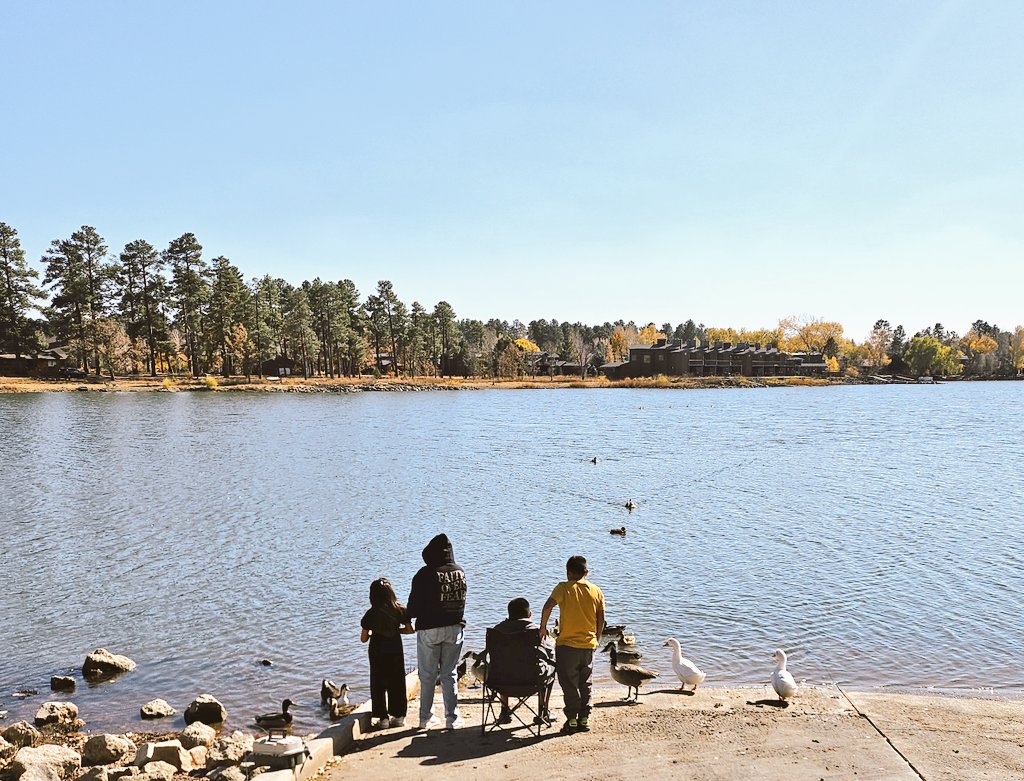 honaghaahnii's tweet image. Can any settler allies help w dinner (for my sister &amp;amp; 5 kids) today &amp;amp; tomorrow? About $40 is needed. My sis is asking for help. Any support/help is hugely appreciated [an early #NativeFamilyFriday request].

PayPal.me/KentaroH
v*nmo: @/Kentaro-Herder
ca*h app: $KentaroHerder