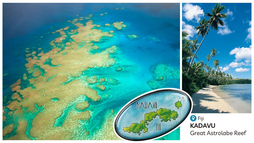 Kadavu is the fourth largest island in Fiji with the Great Astrolabe Reef just offshore. Browse our travel gifts for this holiday season

#spartanandthegreenegg #SGEbookseries #SGEexplorerstickers #travel #fullcyclepublications #books #nabilakhashoggi #FCPbooks #adventure #gifts
