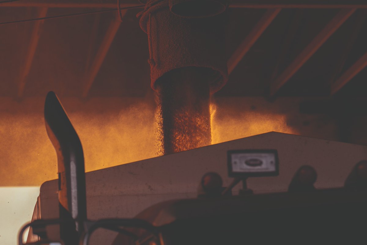 BrevantseedsUS's tweet photo. Brevant® brand Qrome® products offer farmers the flexibility to combine high-yield potential with corn rootworm protection, without any trade-offs. 
 
Don’t believe us? We’ve got truckloads of proof. Literally… https://t.co/MoDzQSPJyC https://t.co/QARgQN1sIH