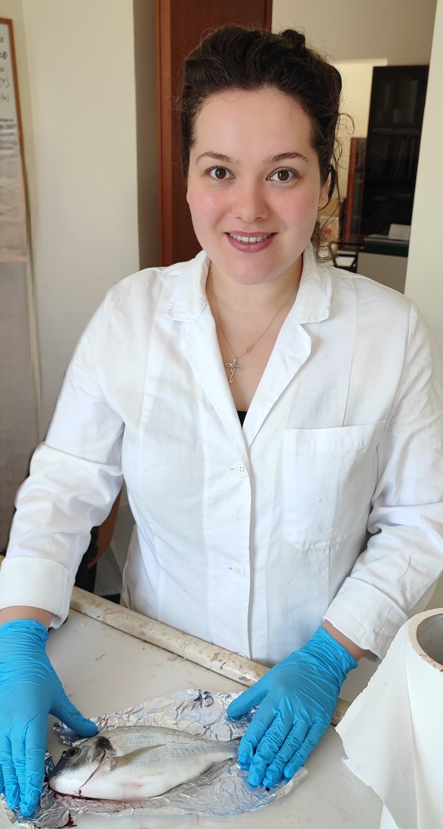 Happy to host Polina Rusanova <a href="/Unibo/">Università di Bologna</a> <a href="/CnrIrbim/">IRBIM CNR</a> as a #PhD intern, on the #Norway #lobster #Nephrops norvegicus gut microbiome.
<a href="/PhDVoice/">PhD Voice - Independently Run</a> <a href="/ThePhDPlace/">The PhD Place</a> <a href="/PhD_Genie/">PhD_Genie</a> <a href="/EUFIC/">European Food Information Council (EUFIC)</a> <a href="/PhDspeaks/">PhD Speaks</a> <a href="/aquaculturehub/">Aquaculture Hub</a> <a href="/EATIP_eu/">EATiP</a> <a href="/AQUAEXCEL3/">AQUAEXCEL3.0</a> <a href="/study_in_Greece/">Study in Greece</a> <a href="/HcmrImbbc/">imbbc-hcmr</a>
<a href="/MARBLES_EU/">@MARBLES_EU</a> #phdlife <a href="/uth_gr/">University Thessaly</a>