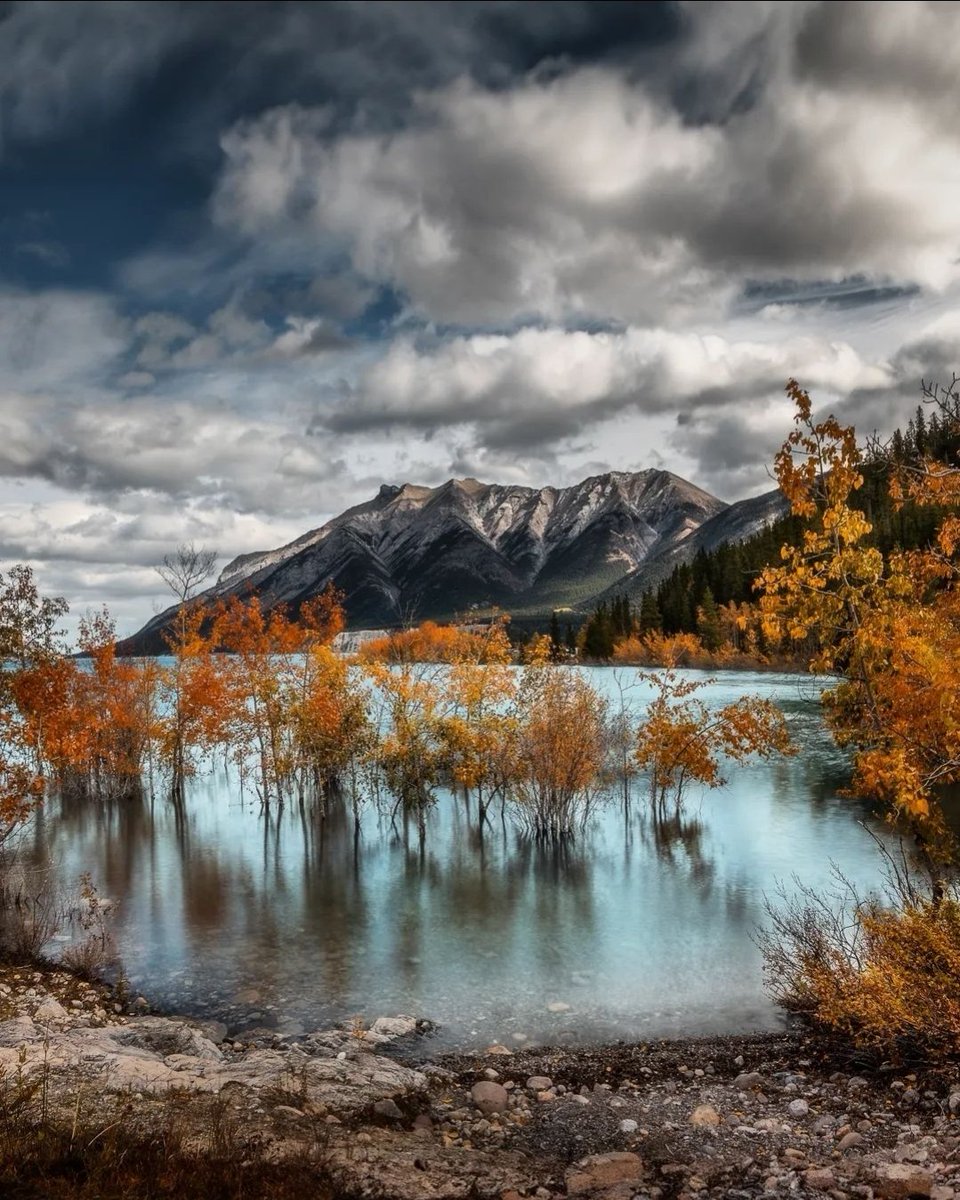 Abraham Lake AB
