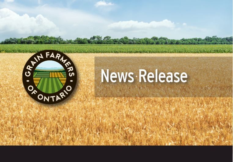 Grain Farmers of Ontario welcomes the recent news that Canadian agricultural feedstocks have been approved for legislative recognition for the land use and biodiversity (LUB) criteria under the Clean Fuel Regulations. Read the release here: gfo.ca/news-releases/…