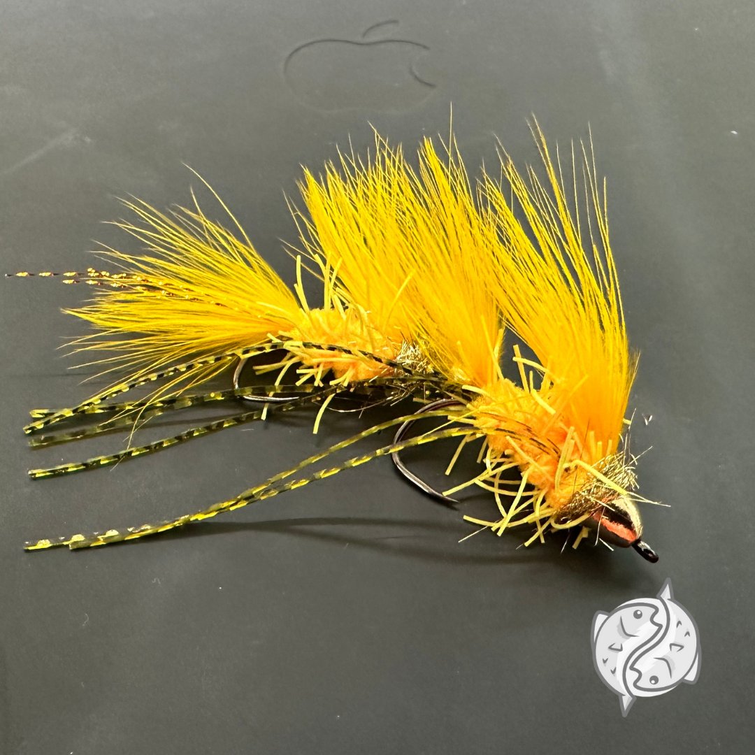 klinkndink's tweet photo. Galloup's Peanut Envy, Creeper Yellow + Gold

#flytying #flyfishing #colorado #flytyingjunkie #flytyingaddict #klinkndink #gobarbless #fireholeoutdoors #orvis #renzetti #fishnaked #outdoors #boulderflycasters #troutunlimited #streamerjunkie #streamers #streamerfly #streamer https://t.co/geB6R137Jo