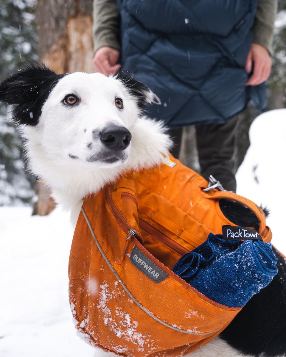 PackTowl tweet media