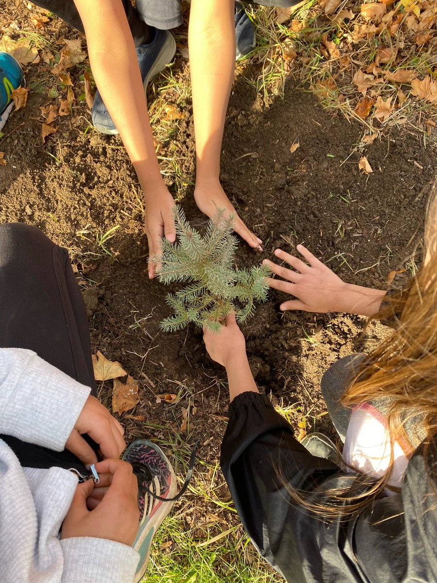 Today our ECO Club planted some trees in front of our school! <a href="/EcoSchoolsCAN/">EcoSchools Canada</a> <a href="/FrCWSullyDPCDSB/">Father C.W. Sullivan</a>