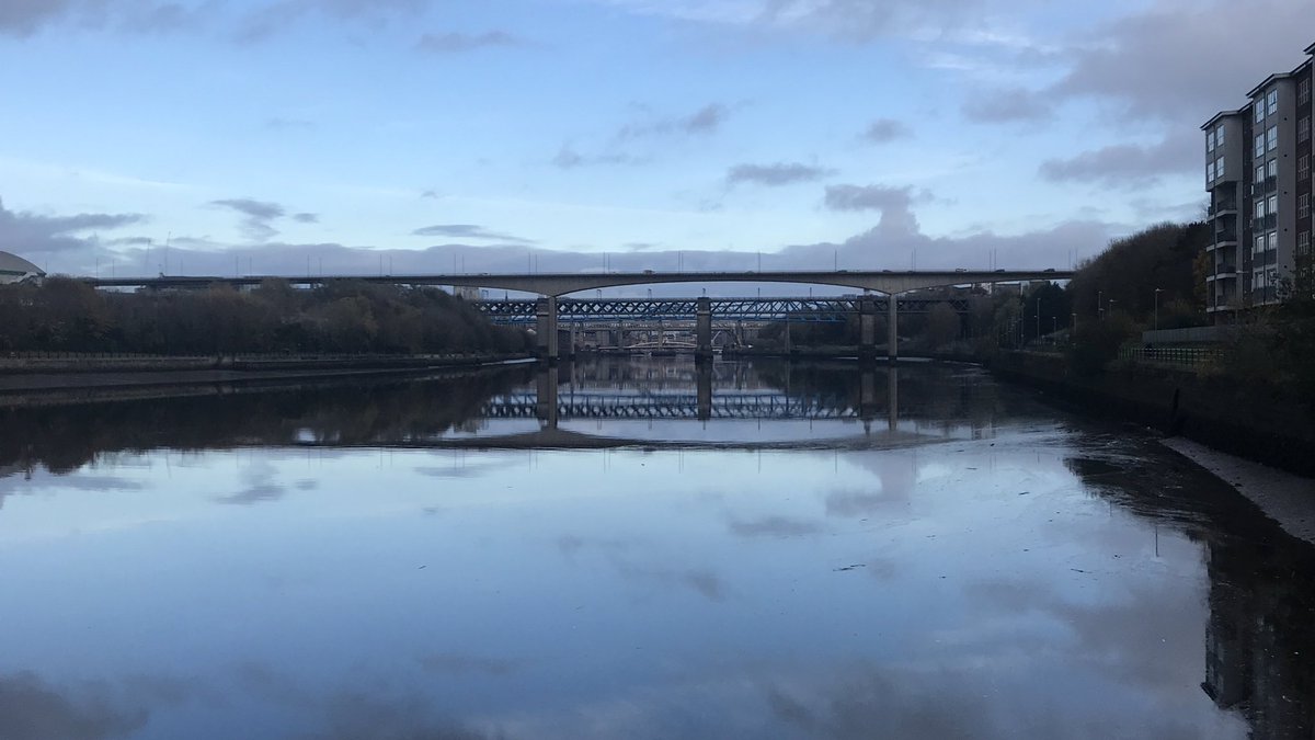 Elizabeth Kane tweet media