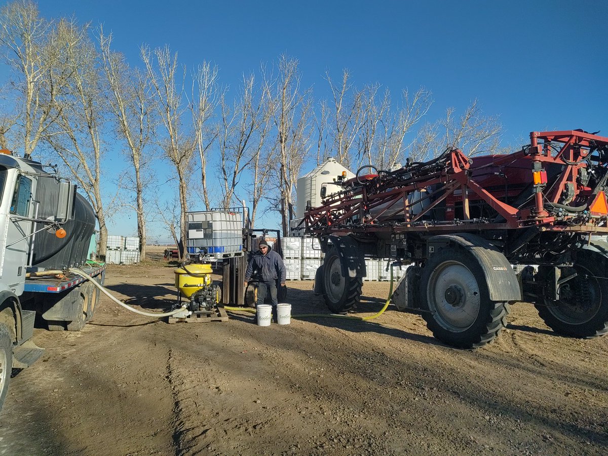 ABSeedman's tweet photo. When you remove your corn stover, are you getting paid enough for the nutrients that you removed PLUS fuel,time,trucking? Why not include a saprophytic fungi residue digester as part of your biological plan? @ecotea_tm to prepare for the 2024 crop. #provenscience #3rdpartytrials https://t.co/5BSGeipvoZ