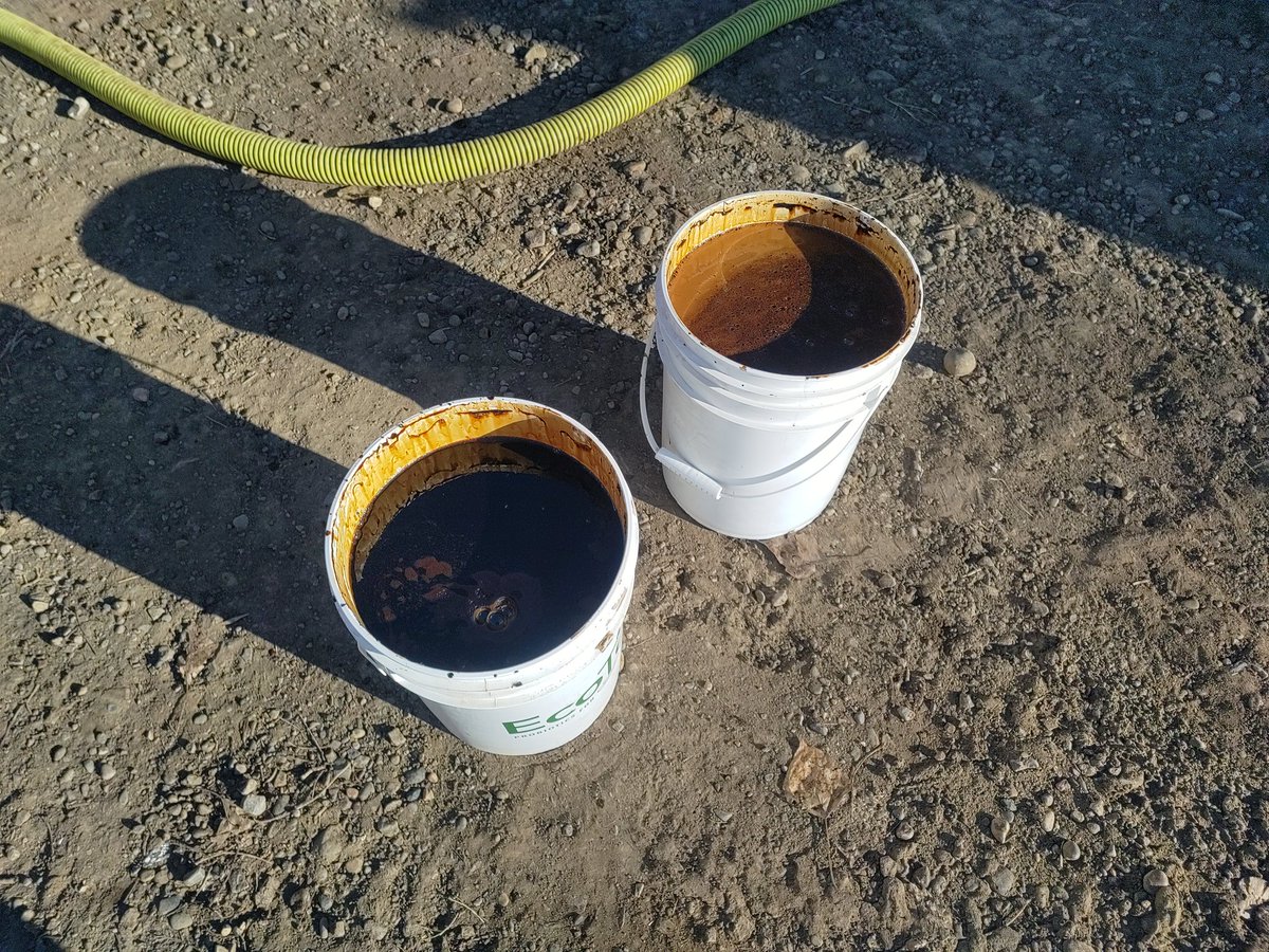 ABSeedman's tweet photo. When you remove your corn stover, are you getting paid enough for the nutrients that you removed PLUS fuel,time,trucking? Why not include a saprophytic fungi residue digester as part of your biological plan? @ecotea_tm to prepare for the 2024 crop. #provenscience #3rdpartytrials https://t.co/5BSGeipvoZ