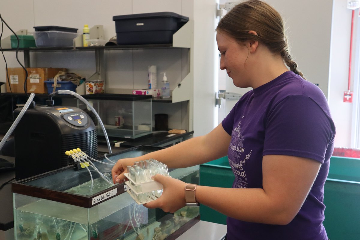 stonelab's tweet photo. Attention @OhioState graduate students interested in conducting 2024 research work at #StoneLab: scholarships are available that can support short and longer visits, pilot projects, small &amp; larger money requests, etc.

Application deadline is 12/1. Visit https://t.co/oKDtvqBBjp. https://t.co/fweskeWHtJ