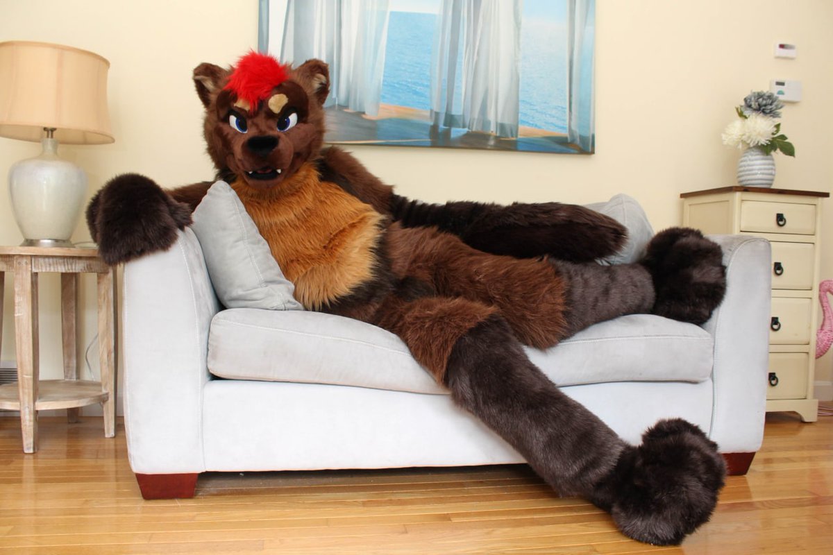 QophLynx's tweet photo. @MaxFluffys @xavoto_fox https://t.co/oj4pUPDccL