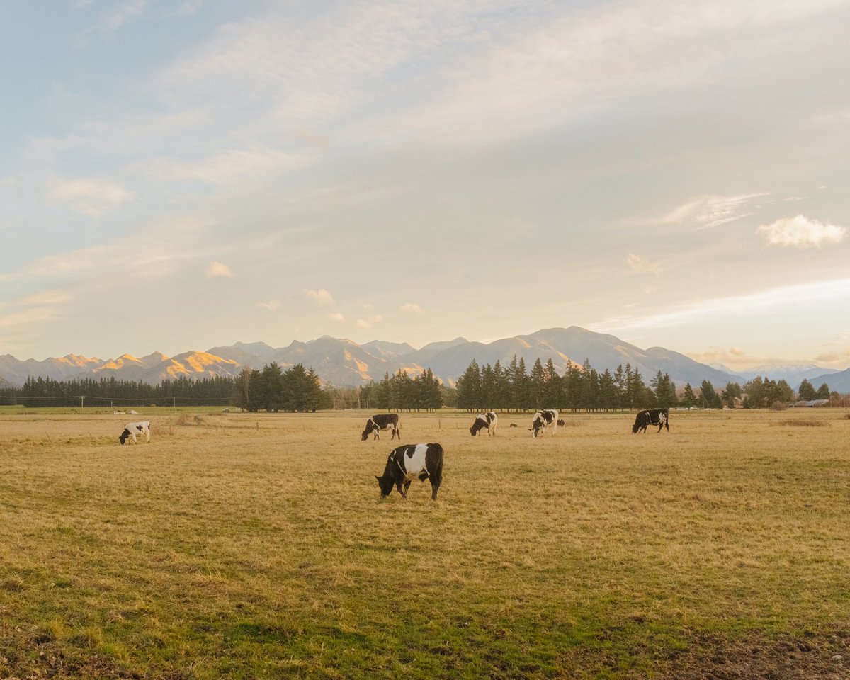 Dean Harvey tweet media