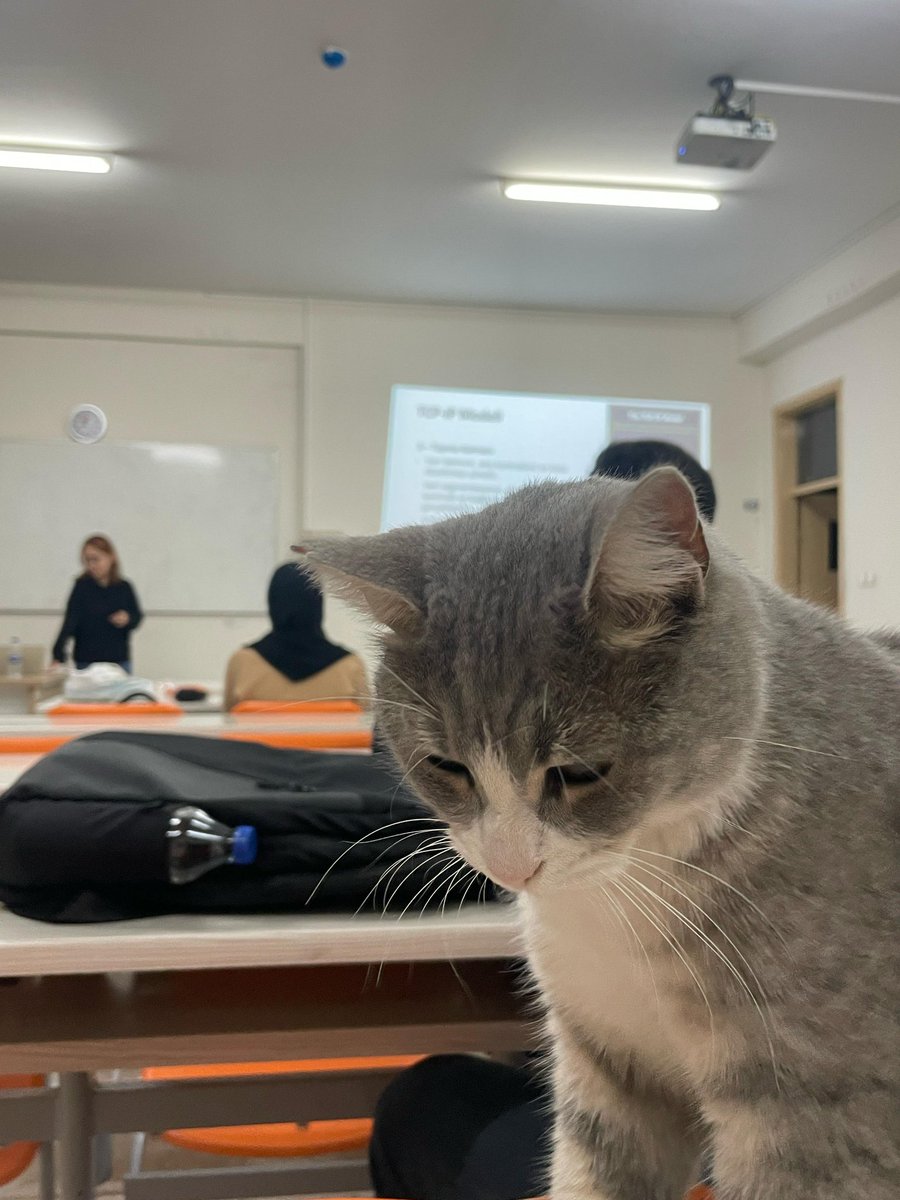 OWASPMuglaUni's tweet photo. 🎉@OWASPMuglaUni ve @MskuSiber
olarak düzenlediğimiz
'Network 101" etkinliğimizden kareler. Temel network kavramlarına ve saldırı çeşitlerine değindiğimiz etkinliğimizde faydalı
sunumu için Sevde Gül Türk'e teşekkür ederiz. Eğlenirken öğrenmeye hep devam edeceğiz. Takipte kalın💻 https://t.co/nRJb6Z97EO