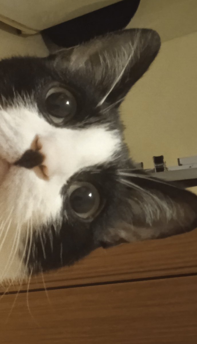 E aynısından bende de varr