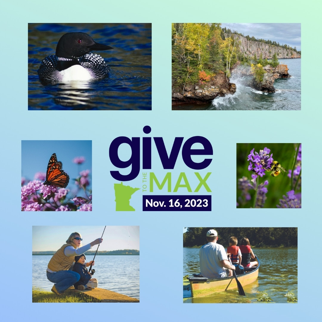 MEPartnership's tweet image. We work to protect the places, people, and wildlife that make Minnesota beautiful. Join us for Give to the Max Day and help keep us win a bright future for our state! givemn.org/organization/M…