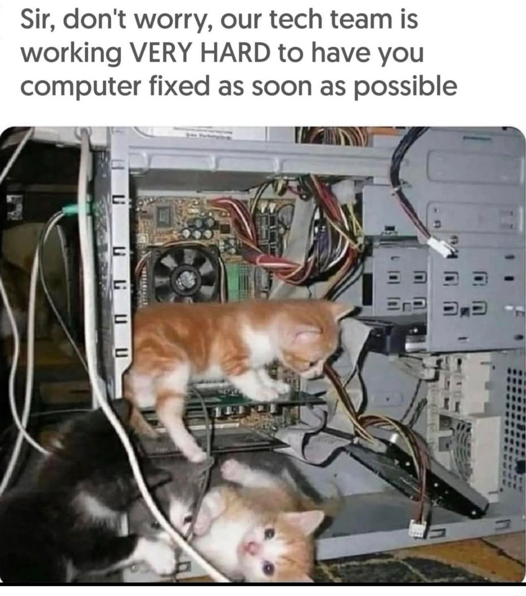 PostsOfCats's tweet photo. https://t.co/xqUJ2gI30u