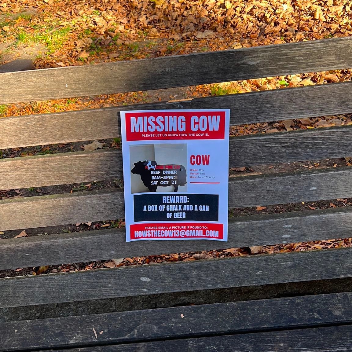 JonathanHaroun1's tweet photo. #Breaking - Students at the University of Pennsylvania plastered a series of posters mocking the ~240 kidnapped Israelis held by Hamas in Gaza and comparing hostage victims to cows all over campus. Shameful behaviour. https://t.co/D4yQrwKd3g
