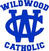 NJ Ladies Hoops tweet media