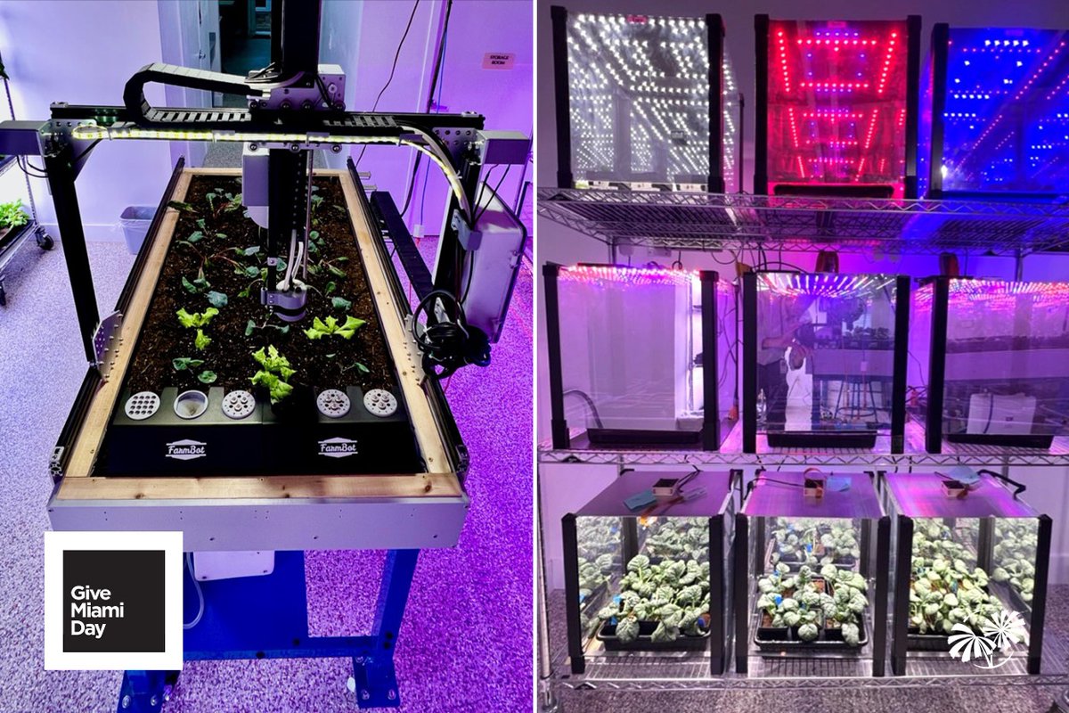 FairchildGarden's tweet photo. Growing Beyond Earth is our partnership with NASA where Fairchild schools and students are growing edible plants for space missions.

GIVE NOW!:https://t.co/g7wPcdknvV https://t.co/KqDvLqN87y