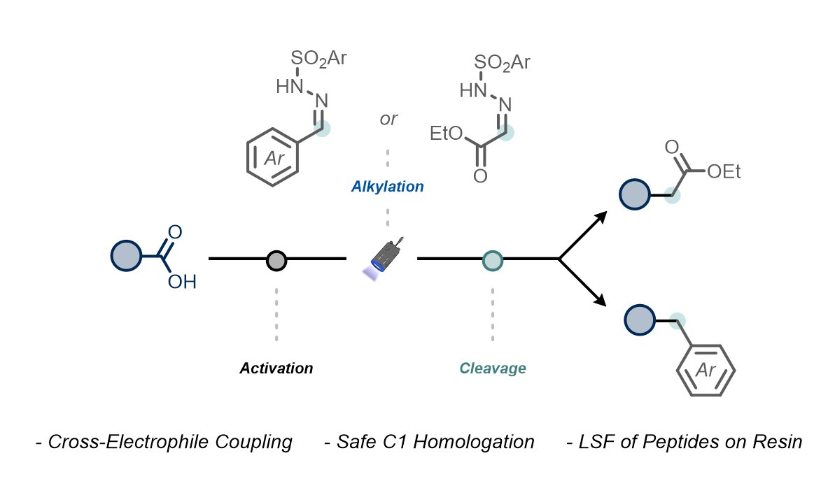 Noel Research Group (@noelgroupuva) on Twitter photo When 2 <a href="/MSCActions/">Marie SkÅodowska-Curie Actions</a> projects (<a href="/PhotoReAct1/">PhotoReAct</a> and <a href="/chair_itn/">CHAIR</a>) collide, you get a great scientific result!
Check our new <a href="/ChemRxiv/">ChemRxiv</a> preprint on a novel metal-free photocatalytic cross-electrophile coupling that enables C1 homologation and Csp3-Csp3 coupling: chemrxiv.org/engage/chemrxi⦠When 2 <a href="/MSCActions/">Marie SkÅodowska-Curie Actions</a> projects (<a href="/PhotoReAct1/">PhotoReAct</a> and <a href="/chair_itn/">CHAIR</a>) collide, you get a great scientific result!
Check our new <a href="/ChemRxiv/">ChemRxiv</a> preprint on a novel metal-free photocatalytic cross-electrophile coupling that enables C1 homologation and Csp3-Csp3 coupling: chemrxiv.org/engage/chemrxiā¦