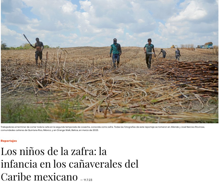 FESMEX's tweet photo. 👏 Felicitamos a las y los periodistas ganadores de la 17ª edición del Premio Alemán de Periodismo Walter Reuter #PAPWR2023 
#MenciónHonorífica
"Los niños de la zafra: la infancia en los cañaverales del Caribe mexicano" de @ricardonoseque
 @Gatopardocom 🔗https://t.co/HrCX8rCYjx https://t.co/g496ZUxmdc
