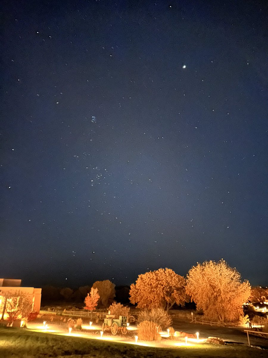 Andrea Levine tweet media