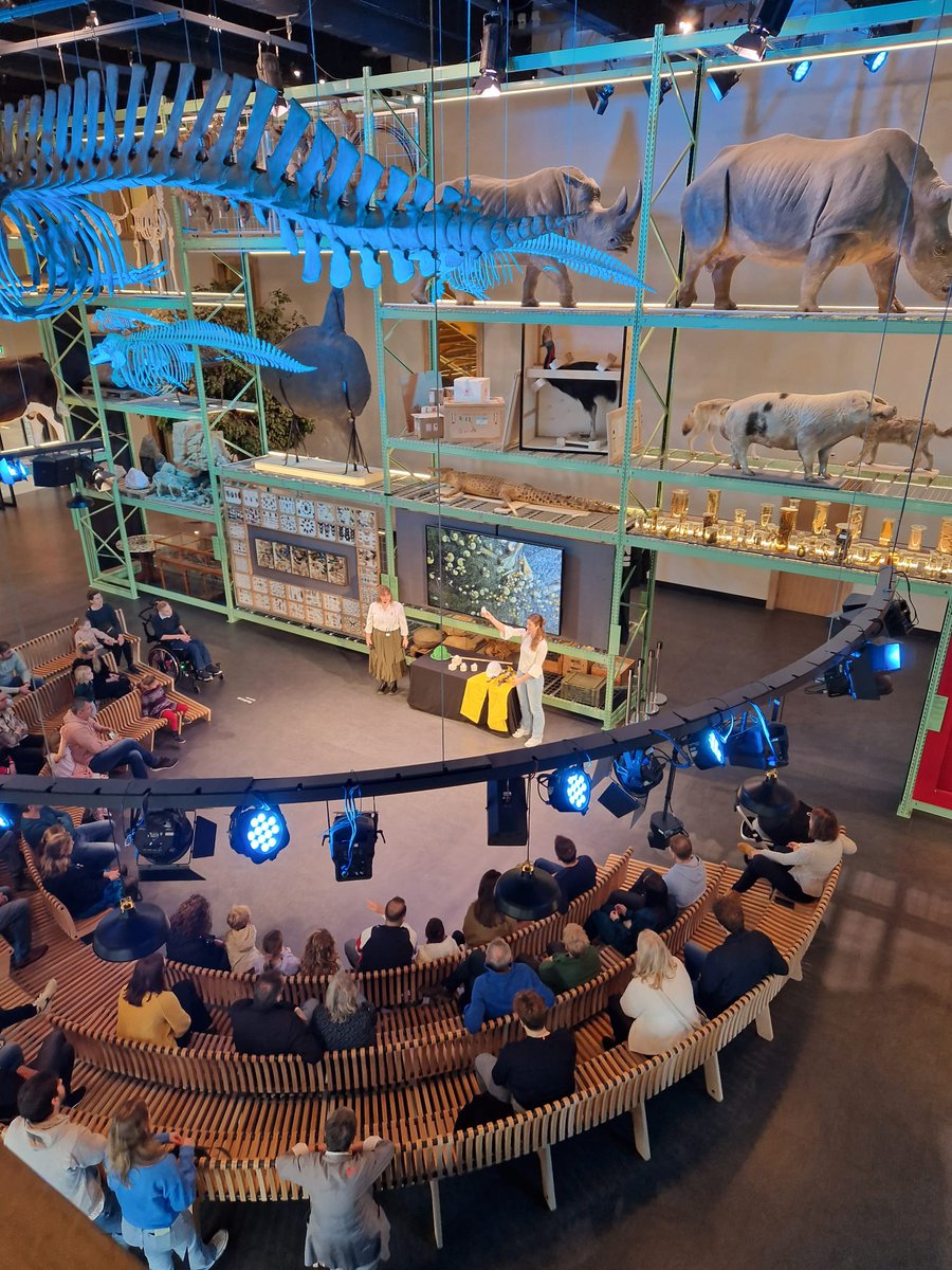 Robin van Dijk tweet media