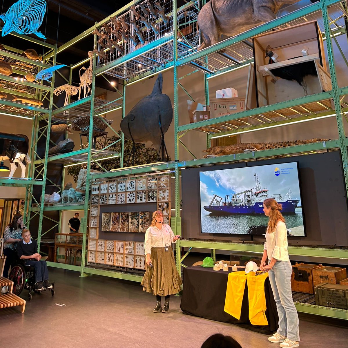 Robin van Dijk tweet media