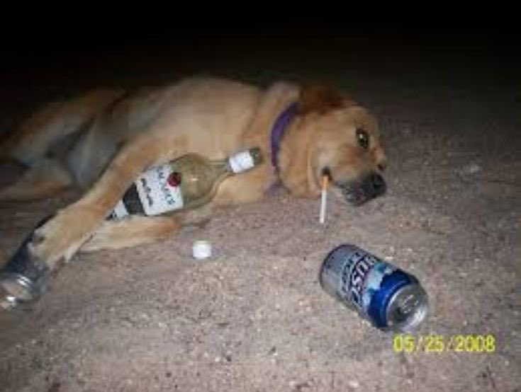 how your email finds me