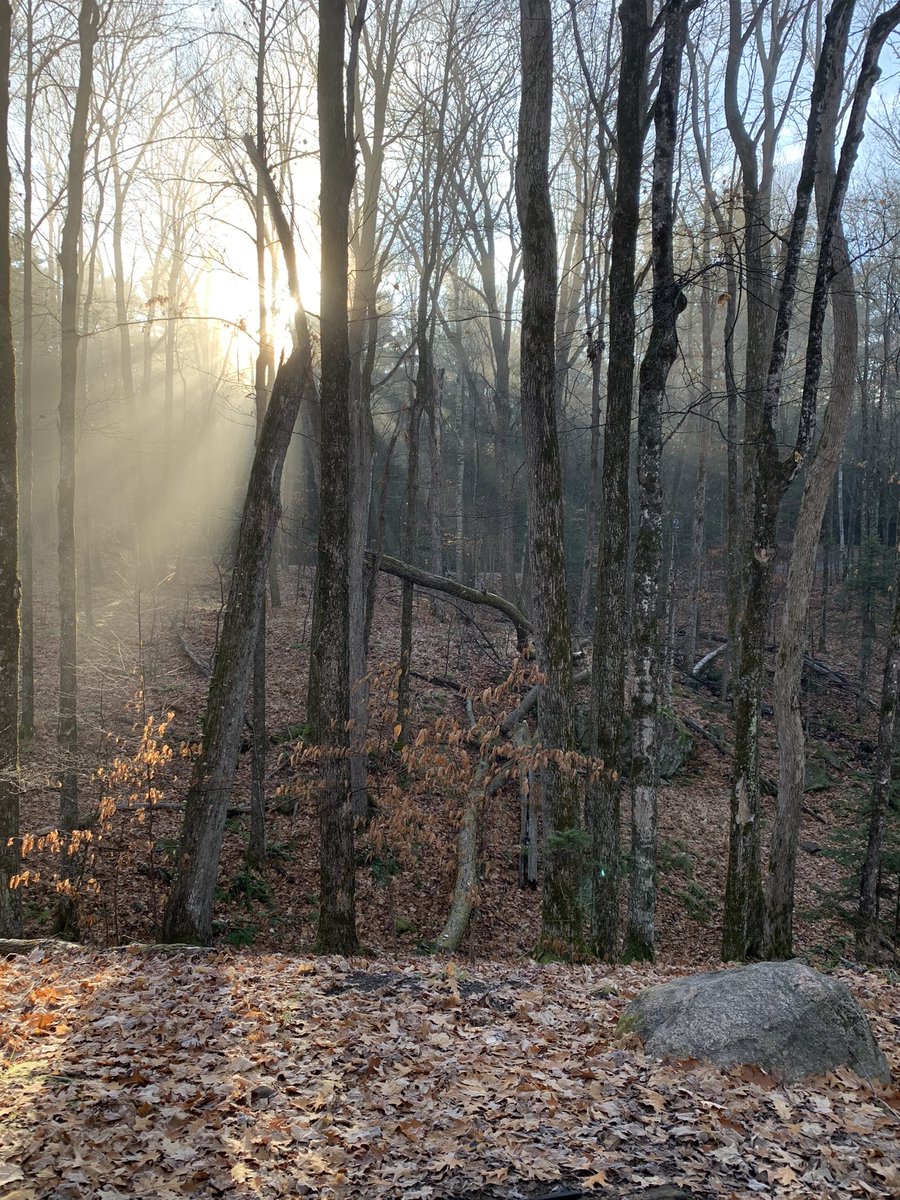 Kieran Shepherd tweet media