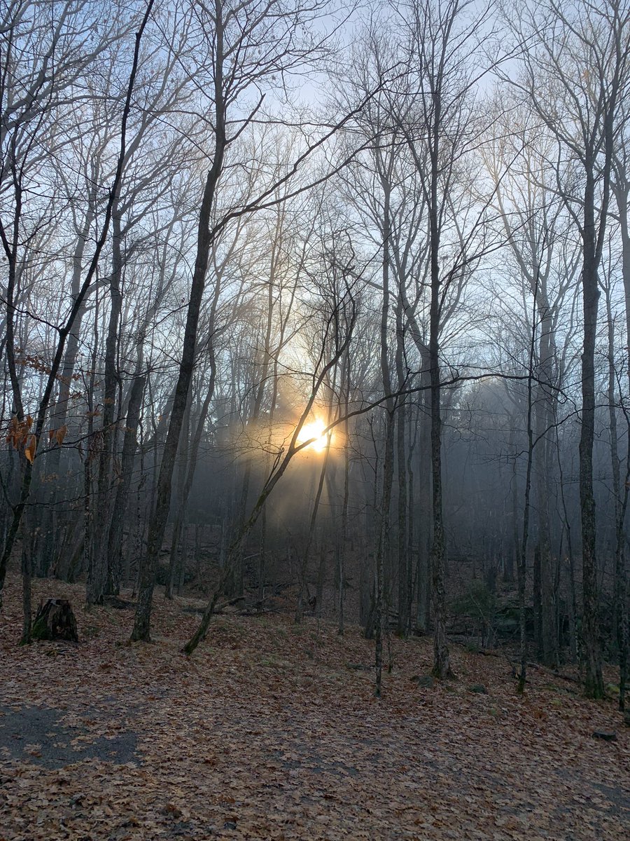 Kieran Shepherd tweet media