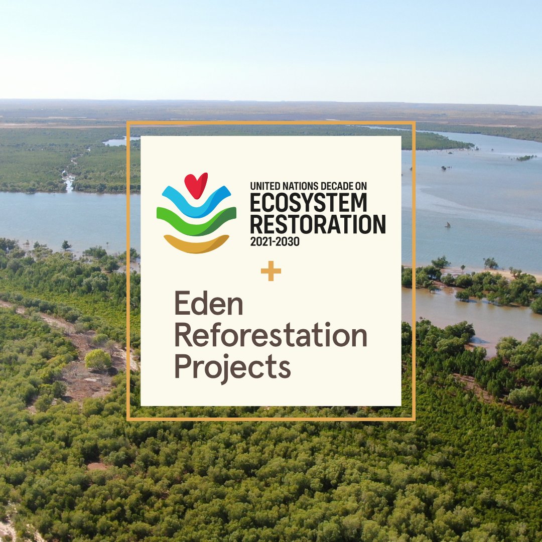 eden__plus's tweet photo. Eden is thrilled to announce our strategic affiliation as an Actor with the UN Decade on Ecosystem Restoration 2021-2030. Every action will drive us closer to our shared vision with the UN Decade: a restored global ecosystem. #generationrestoration #UNEP #FAO #DecadetoRestore https://t.co/wkvUpZ80uy