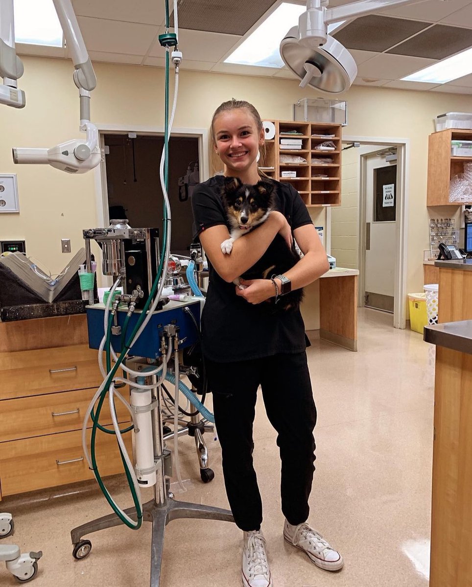 Jill Hackman tweet media