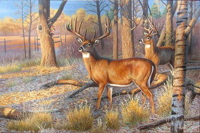 MDKOL1's tweet photo. Beautiful Deer 🦌 painting 🤎🤍 https://t.co/dzQedtQIgr