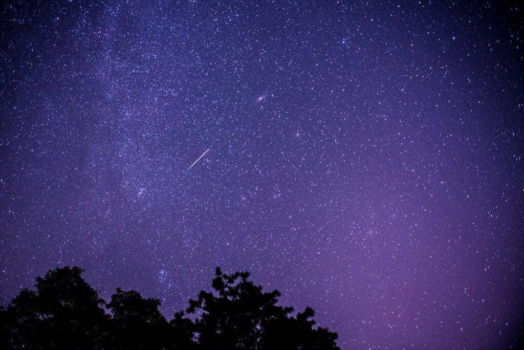 The Leonid meteor shower returns! It will be most visible in the sky between midnight and dawn on November 18.

The Leonids meteor shower are tiny bits of rock and dust shed by comet Tempel-Tuttle, which was discovered in 1865 and orbits our Sun every 33 years.

Photo: MK Feeney