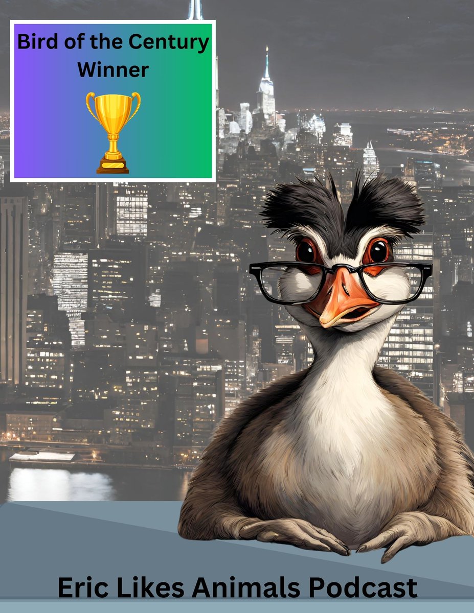 eric_animals's tweet photo. 🎙️ New Episode!  Meet the #Putekeke, a bird that took the world by storm and claimed the title of #BirdoftheCentury @Forest_and_Bird ! 🌎 Huge thanks to @iamjohnoliver on @LastWeekTonight for his epic campaign. The episode is on most podcast platforms🦜

https://t.co/NlG2TWSPSY https://t.co/igg0Wq3QRb