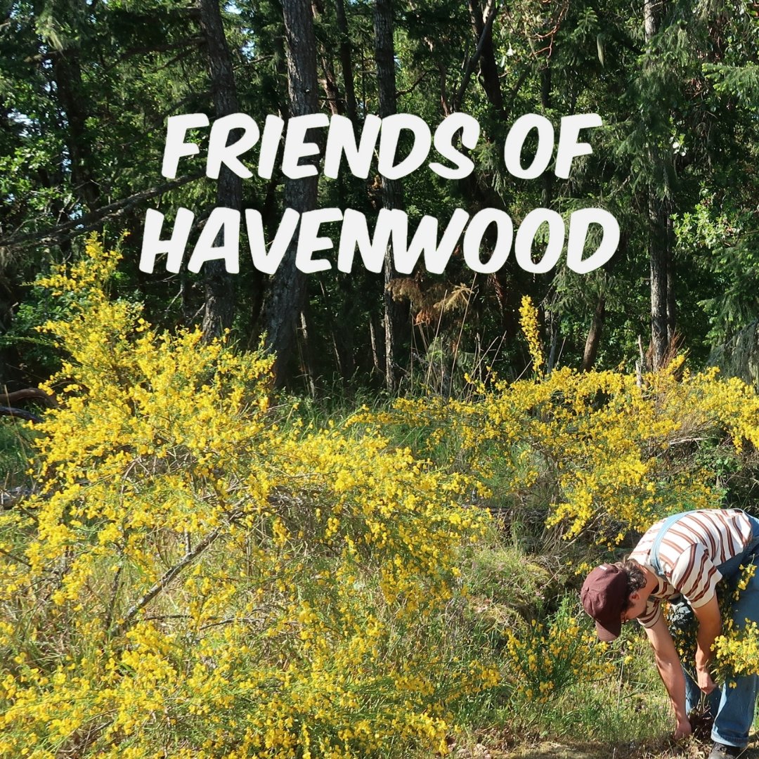 Come out and support our wonderful "Friends of" stewardship groups!

Check out our events page at hat.bc.ca/volunteer to keep updated on when these groups meet, and email volunteers@hat.bc.ca if you want to get involved!