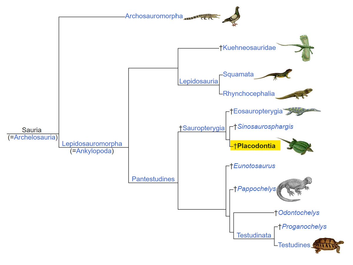 Biological Way (@Biological_way) / Posts / X