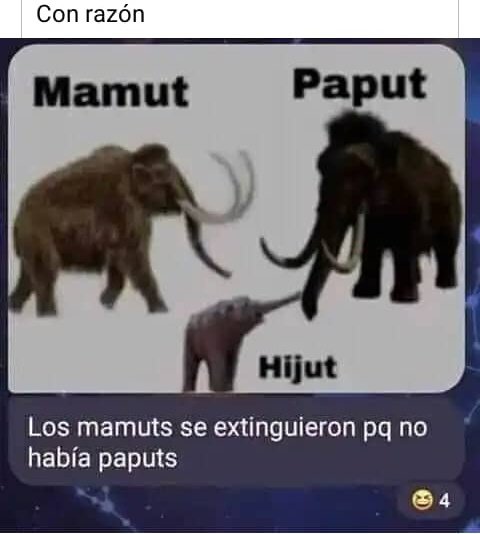 Casper__w_'s tweet photo. @duolingoespanol Hola duo . perdi mi racha me perdonas 😭mi mascota no  . *meme random para alegrar el dia * https://t.co/kfgX0jWEEz
