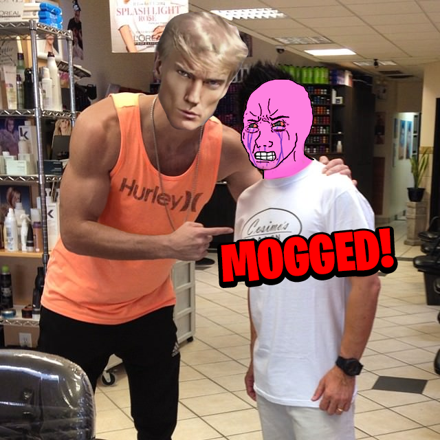 MogaERC's tweet photo. Get $MOGA or get MOGGED! https://t.co/5p3yCfTzw3