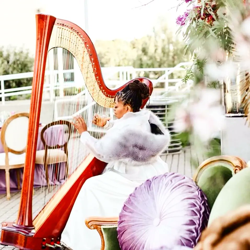 AquilMizan's tweet photo. Happy Birth Anniversary to #harpist @soundsculptress @music_muhammad !
In the video #harpista https://t.co/p3hUFYWmga is playing #HappyBirthday!

#strings #blackgirlsrock #harps #harpists #blackgirlmagic #harpmusic #harpistfromthehood  #harpistsofinstagram #harp #DestinyMuhammad https://t.co/FVLvXosRZF