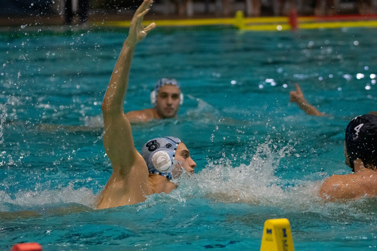 CNBARCELONA's tweet photo. Nova victòria dels nostres🤽🏼‍♂️a casa al 4rt partit de la LEN EURO UP Group Stage davant el Telimar Palermo per 11 a 3

Enhorabona equip! Gran partit💥🙌🏽

#cnbisbig #5pals #clubnataciobarcelona #waterpolo #pallanuoto https://t.co/EFapZYv4Fc