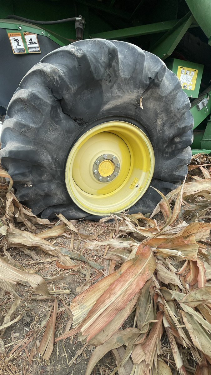 FarmerDan tweet media