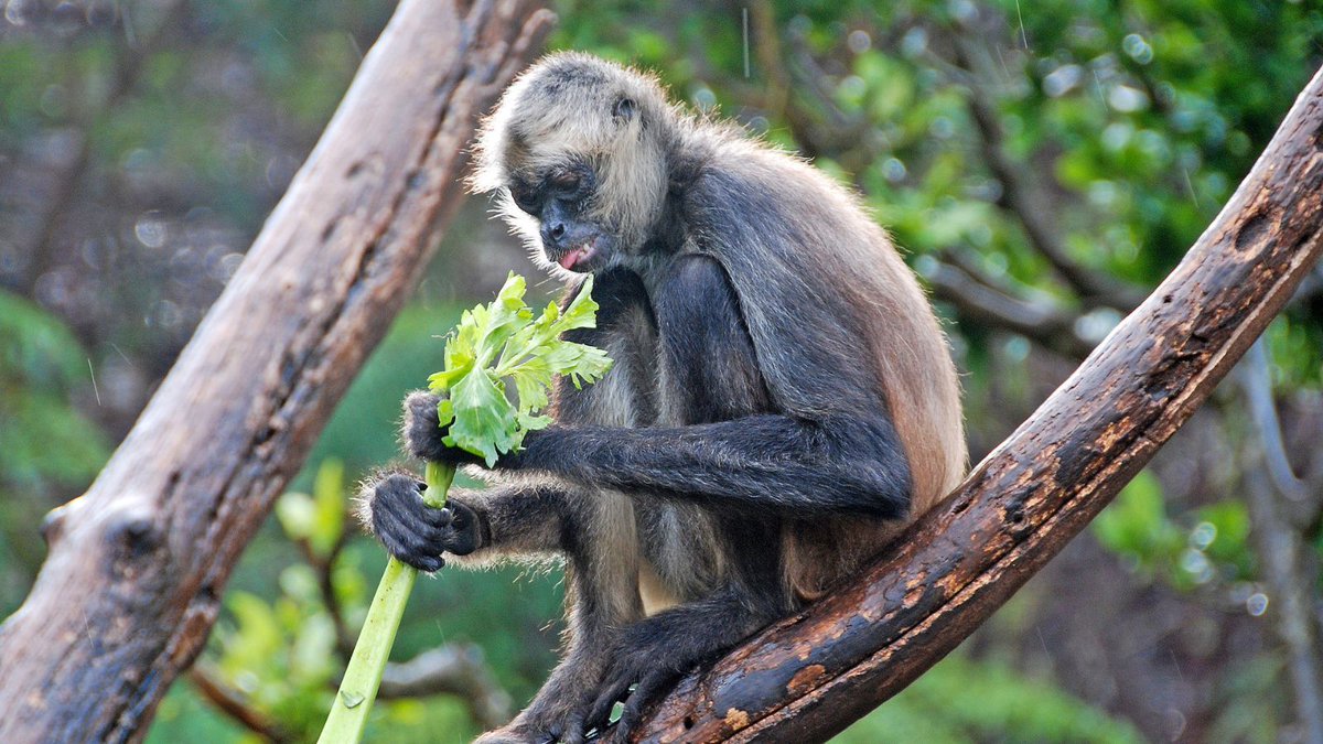 Outforia tweet media